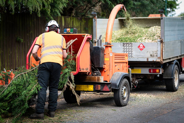 Lawn Watering Services